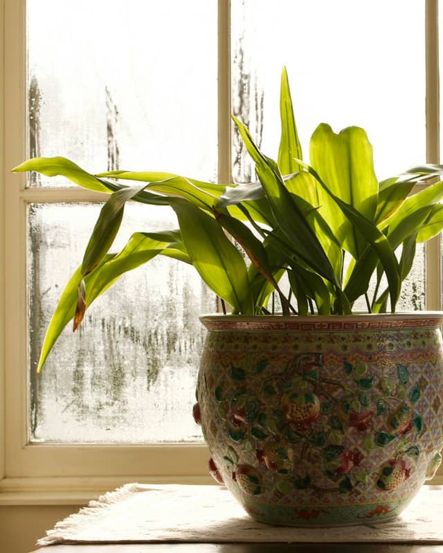 Indoor
